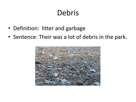 debris thesaurus|Debris Definition & Meaning .